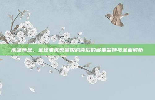 虎啸渐息，全球老虎数量锐减背后的多重警钟与全面解析