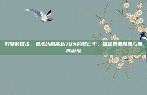 残酷的算术，老虎幼崽高达70%的死亡率，揭秘背后原因与保育困境