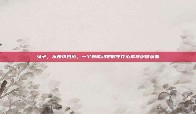 兔子，不是小白兔，一个脊椎动物的生存范本与深度科普