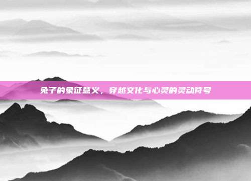 兔子的象征意义，穿越文化与心灵的灵动符号