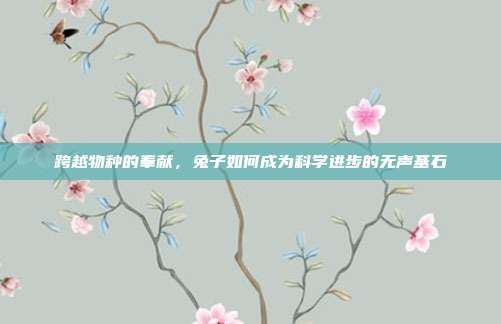 跨越物种的奉献，兔子如何成为科学进步的无声基石