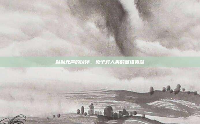 默默无声的伙伴，兔子对人类的多维贡献