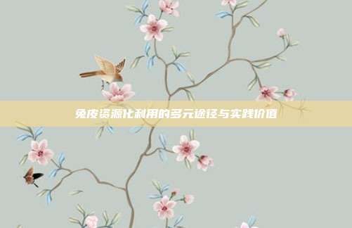 兔皮资源化利用的多元途径与实践价值