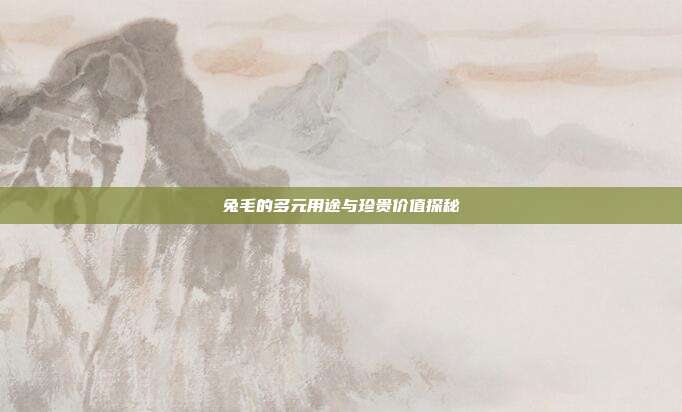 兔毛的多元用途与珍贵价值探秘