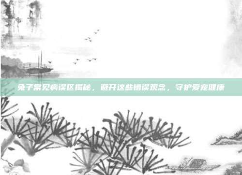 兔子常见病误区揭秘，避开这些错误观念，守护爱宠健康