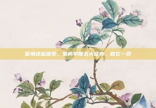 警惕这些信号，兔病早期五大征兆，救它一命