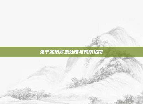 兔子冻伤紧急处理与预防指南
