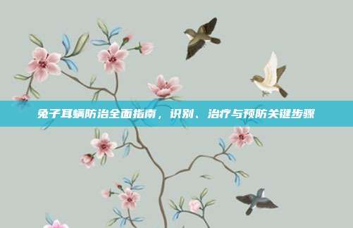 兔子耳螨防治全面指南，识别、治疗与预防关键步骤