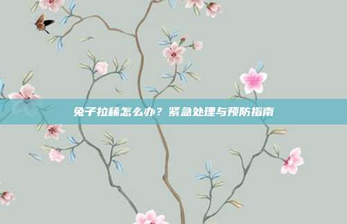 兔子拉稀怎么办？紧急处理与预防指南