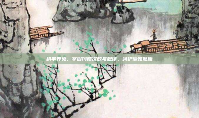 科学养兔，掌握饲喂次数与规律，呵护爱宠健康