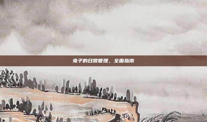 兔子的日常管理，全面指南
