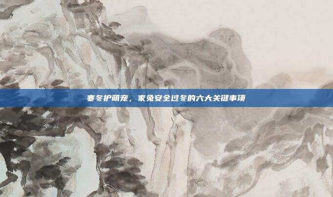 寒冬护萌宠，家兔安全过冬的六大关键事项