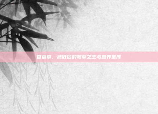 苜蓿草，被低估的牧草之王与营养宝库