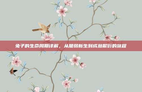 兔子的生命周期详解，从脆弱新生到成熟繁衍的旅程