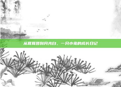 从茸茸团到月光白，一只小兔的成长日记