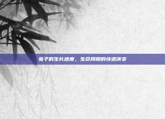 兔子的生长速度，生命周期的快速演变