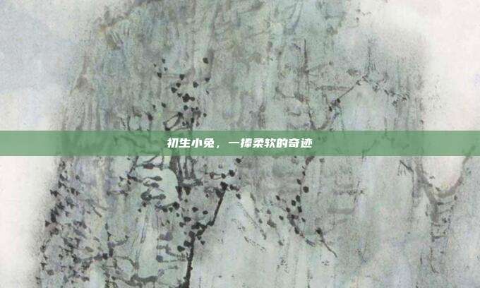 初生小兔，一捧柔软的奇迹