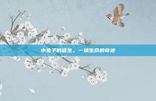 小兔子的诞生，一场生命的奇迹