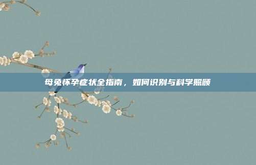 母兔怀孕症状全指南，如何识别与科学照顾