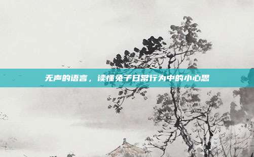 无声的语言，读懂兔子日常行为中的小心思