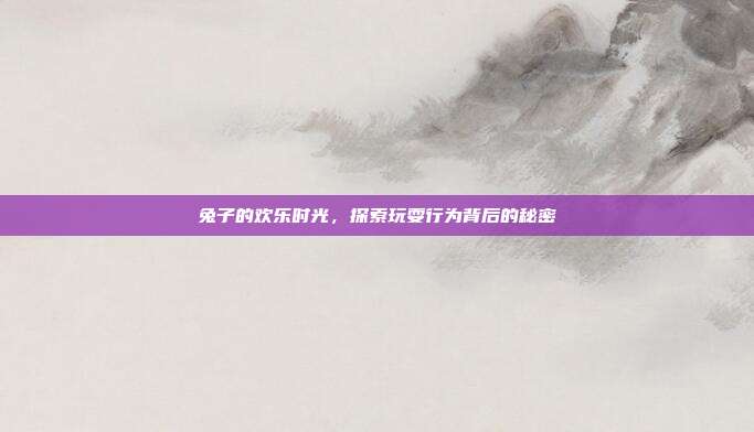 兔子的欢乐时光，探索玩耍行为背后的秘密