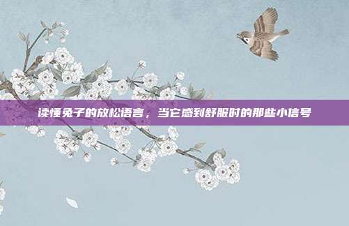读懂兔子的放松语言，当它感到舒服时的那些小信号