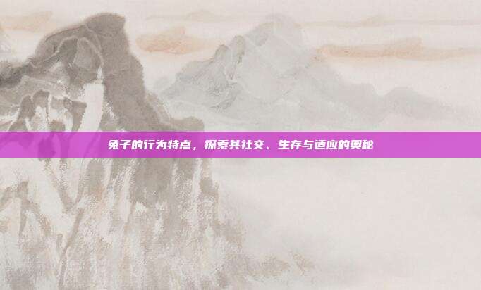 兔子的行为特点，探索其社交、生存与适应的奥秘