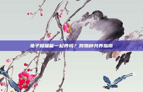 兔子和猫能一起养吗？跨物种共养指南