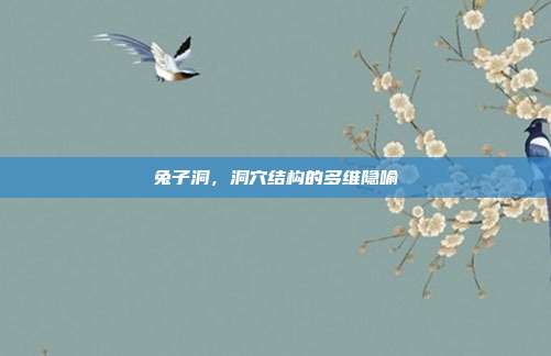 兔子洞，洞穴结构的多维隐喻