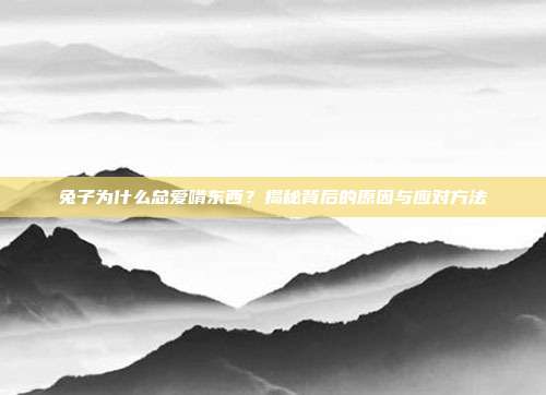 兔子为什么总爱啃东西？揭秘背后的原因与应对方法