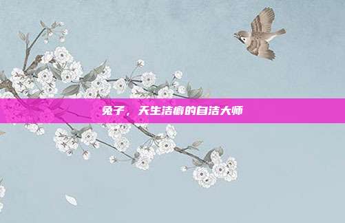 兔子，天生洁癖的自洁大师