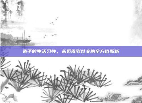兔子的生活习性，从觅食到社交的全方位解析
