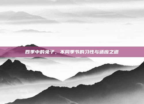 四季中的兔子，不同季节的习性与适应之道