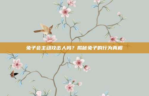 兔子会主动攻击人吗？揭秘兔子的行为真相