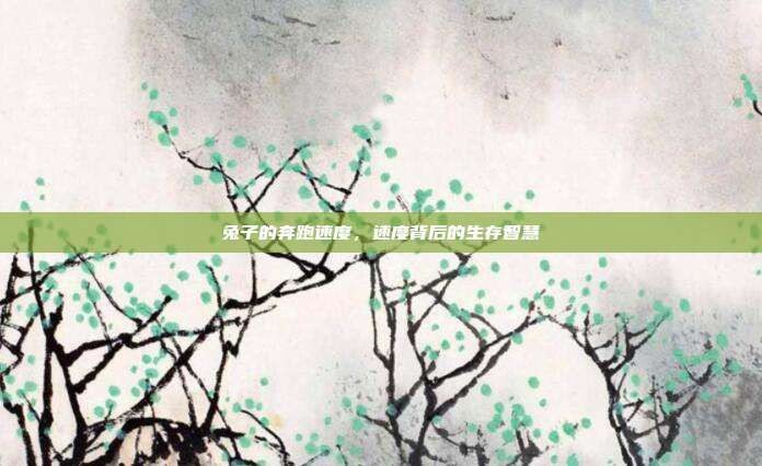 兔子的奔跑速度，速度背后的生存智慧