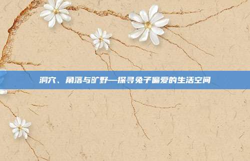 洞穴、角落与旷野—探寻兔子偏爱的生活空间