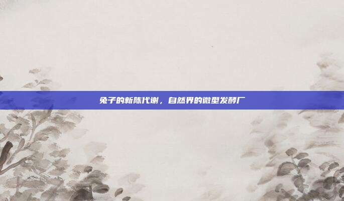 兔子的新陈代谢，自然界的微型发酵厂