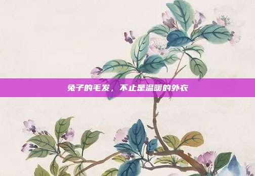 兔子的毛发，不止是温暖的外衣