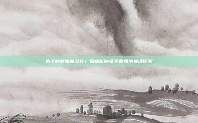 兔子的寿命有多长？揭秘影响兔子寿命的关键因素