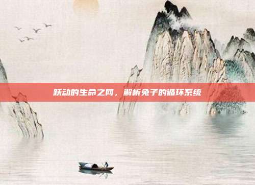 跃动的生命之网，解析兔子的循环系统