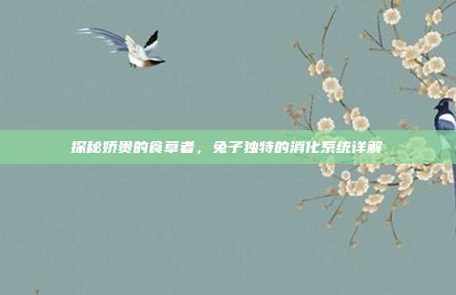 探秘娇贵的食草者，兔子独特的消化系统详解
