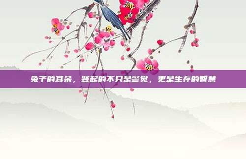 兔子的耳朵，竖起的不只是警觉，更是生存的智慧