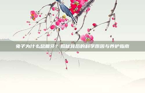 兔子为什么总磨牙？揭秘背后的科学原因与养护指南