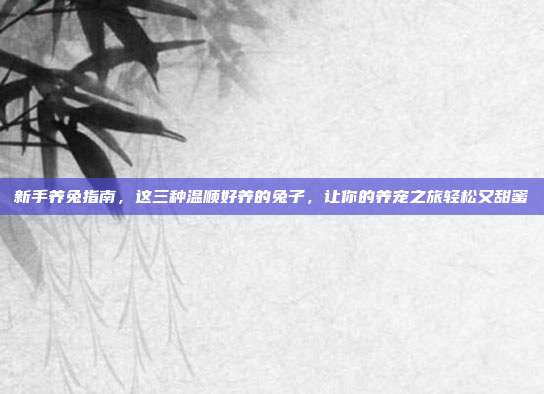 新手养兔指南，这三种温顺好养的兔子，让你的养宠之旅轻松又甜蜜