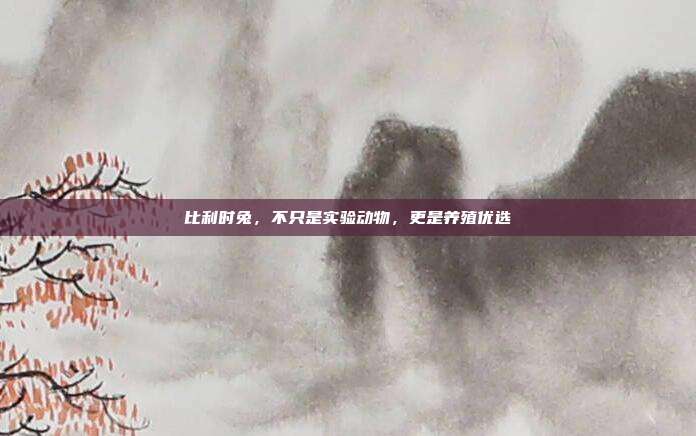 比利时兔，不只是实验动物，更是养殖优选