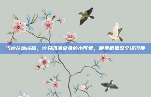 当棉花糖成精，这只叫海棠兔的小可爱，眼里藏着整个银河系