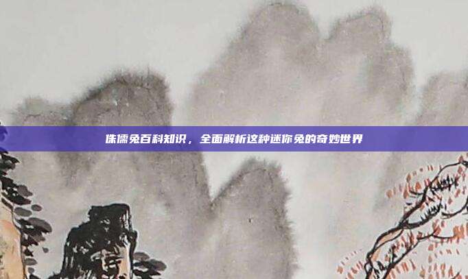 侏儒兔百科知识，全面解析这种迷你兔的奇妙世界