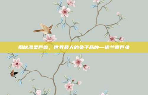 揭秘温柔巨兽，世界最大的兔子品种—佛兰德巨兔
