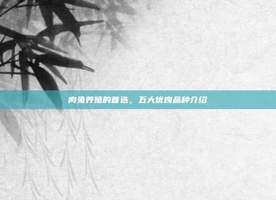 肉兔养殖的首选，五大优良品种介绍