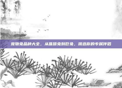 宠物兔品种大全，从侏儒兔到巨兔，挑选你的专属伴侣